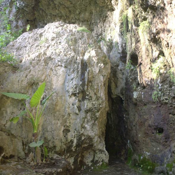 Visitar las Grutas de Tziranda – MICHOACÁN, MARAVILLAS NATURALES